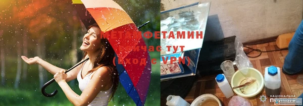 гидра Вяземский