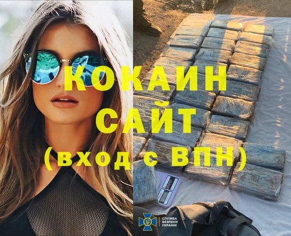 гидра Вяземский