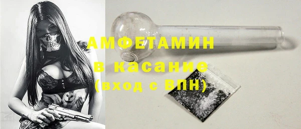 гидра Вяземский