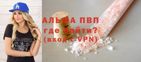 гидра Вяземский