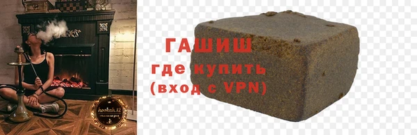 гидра Вяземский
