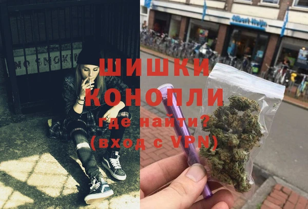 гидра Вяземский