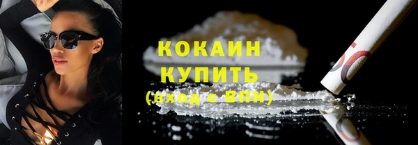 гидра Вяземский