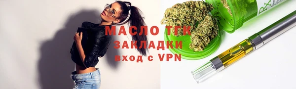 гидра Вяземский