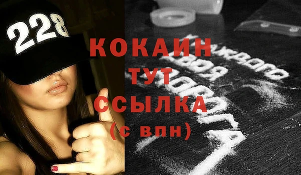 гидра Вяземский