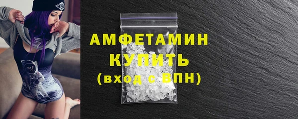 гидра Вяземский
