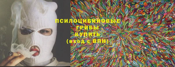 мдпв Вязники