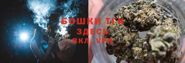 гидра Вяземский