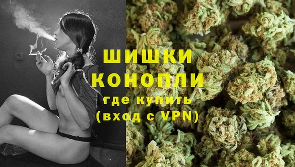 мдпв Вязники