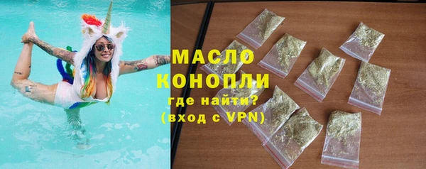 гидра Вяземский