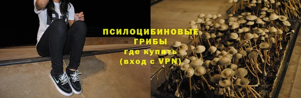 гидра Вяземский